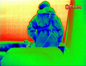 Preview: FLIR Thermal Kamera MD-Serie MD-324 30Hz Preview: FLIR Thermal Kamera MD-Serie MD-324 30Hz