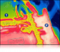 Preview: Raymarine E70321 AX8 Wärmebild- und Tageslichtkamera für Temperatur Preview: Raymarine E70321 AX8 Wärmebild- und Tageslichtkamera für Temperatur