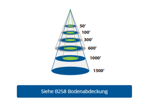 Raymarine B258, Bronze-Durchbruchgeber für Tiefe (bis 650 m)