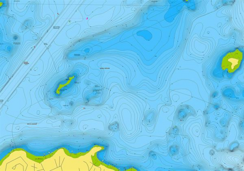 Navionics+ auf MSD-Modul unprogrammiert