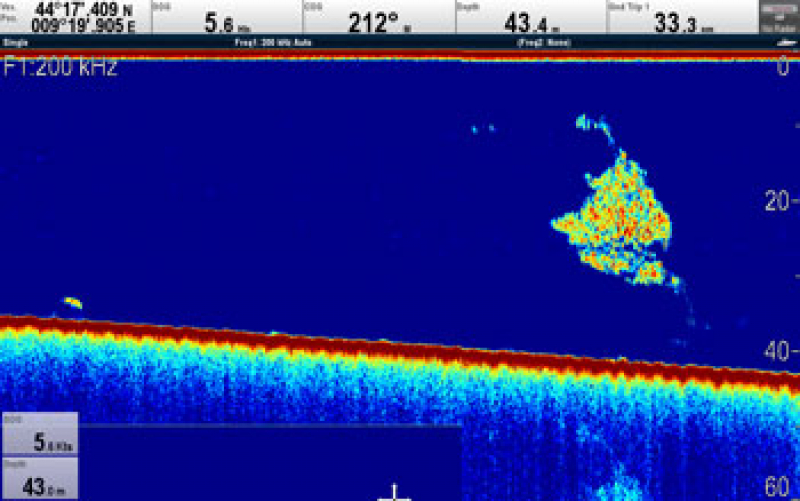 Raymarine CPT-S CHIRP Bronze-Durchbruchgeber Raymarine CPT-S CHIRP Bronze-Durchbruchgeber