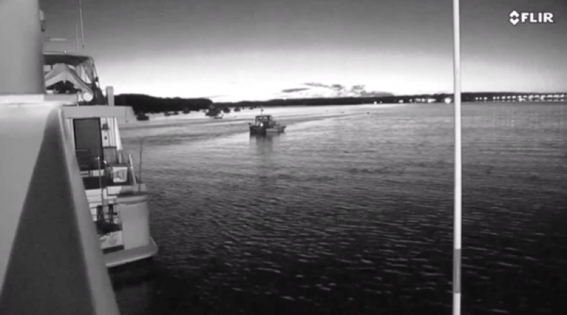 Raymarine E70525 FLIR M364 Stabilised Wärmebildkamera – 640 × 512, 30 Hz, 24° FoV, Pan & Tilt, elektronischer Zoom