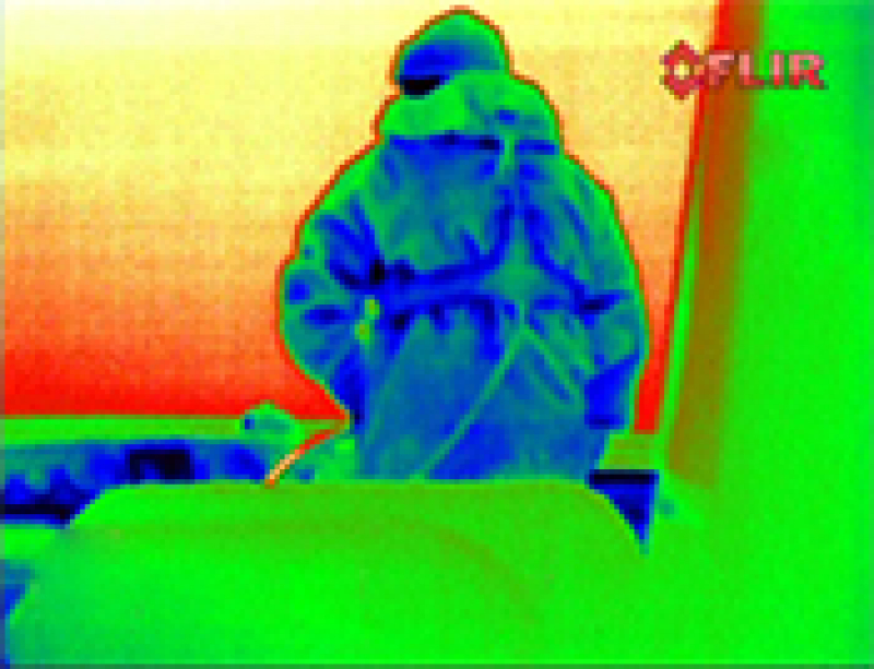FLIR Thermal Kamera MD-Serie MD-324 30Hz FLIR Thermal Kamera MD-Serie MD-324 30Hz