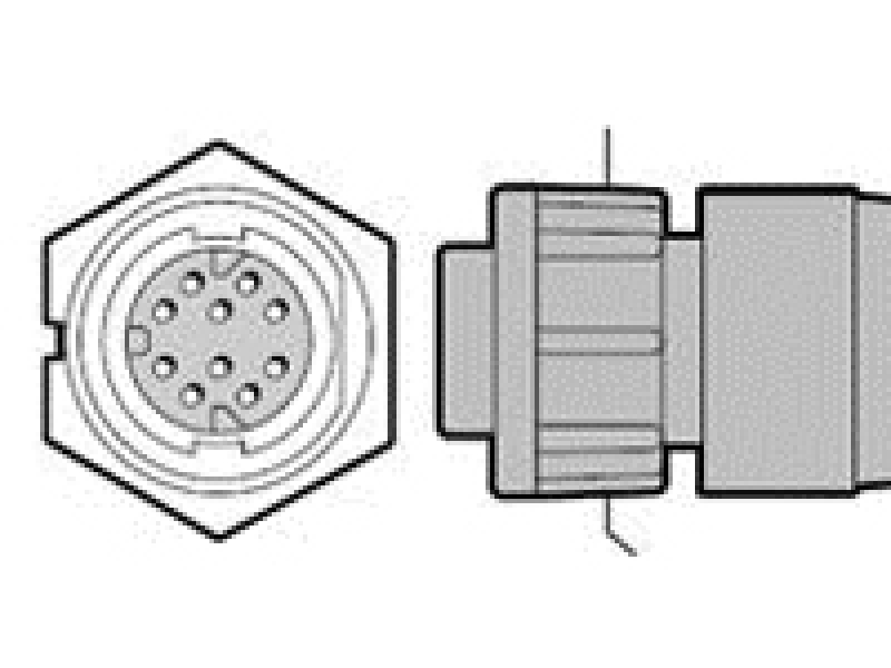 Raymarine RayNet auf RJ45 (männl.), Kabel
