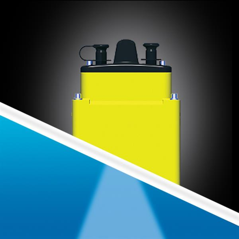 Raymarine A66089 M260 Inneneinbaugeber mit Montage-Tank für Tiefe
