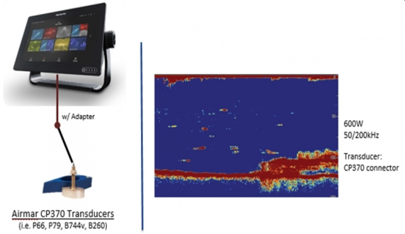 Raymarine A80485 Geberadapterkabel 9-Pin Gerät auf 8-Pin Geber