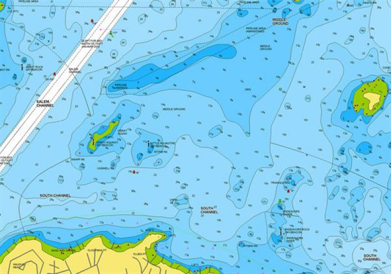 Navionics+ auf MSD-Modul unprogrammiert