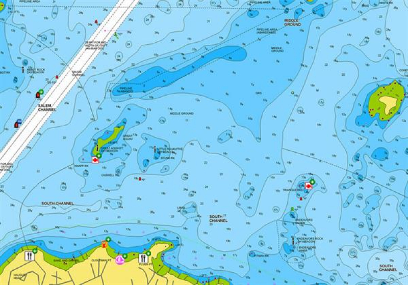 Navionics+ auf MSD-Modul unprogrammiert