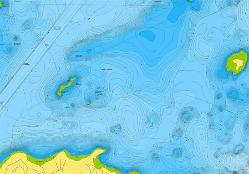 Navionics+ auf MSD-Modul unprogrammiert