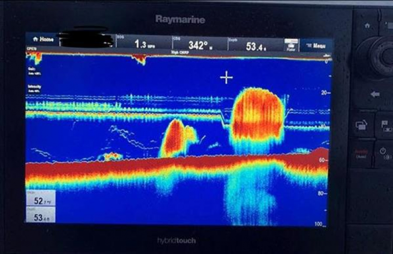 Raymarine A80318 TM275LH-W 1000W D/T Spiegelheckgeber Low-High WideBeam Raymarine A80318 TM275LH-W 1000W D/T Spiegelheckgeber Low-High WideBeam